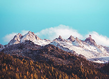 im电竞官网：点亮你的电竞之路，打造专属娱乐新生态